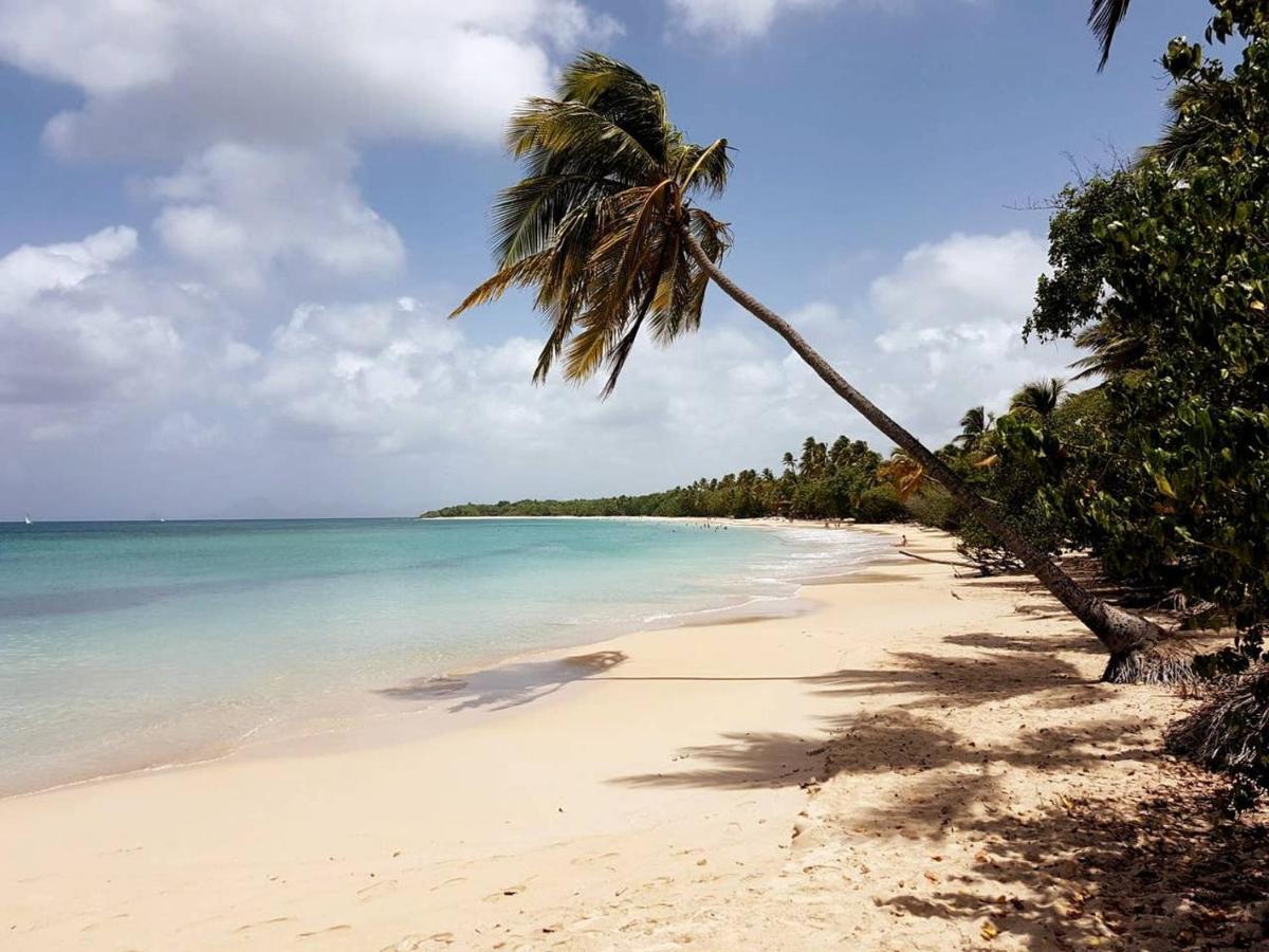 Dany Lodge - Spacieux T2 à 5 minutes de la plage en voiture Rivière-Pilote Esterno foto